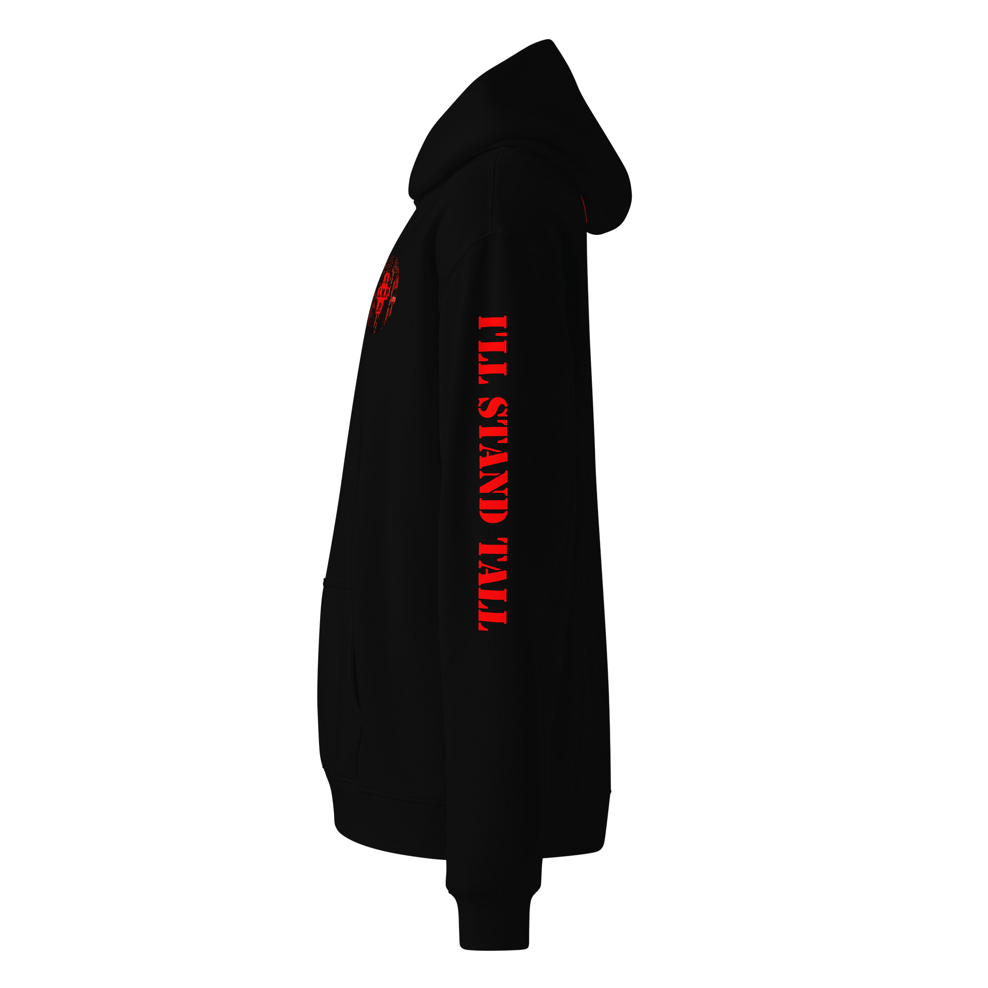 AgentMashPlays Emblem Hoodie product image (10)