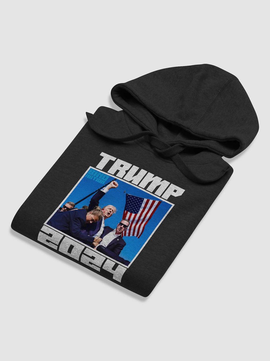 Trump 2024 Hoodie product image (22)
