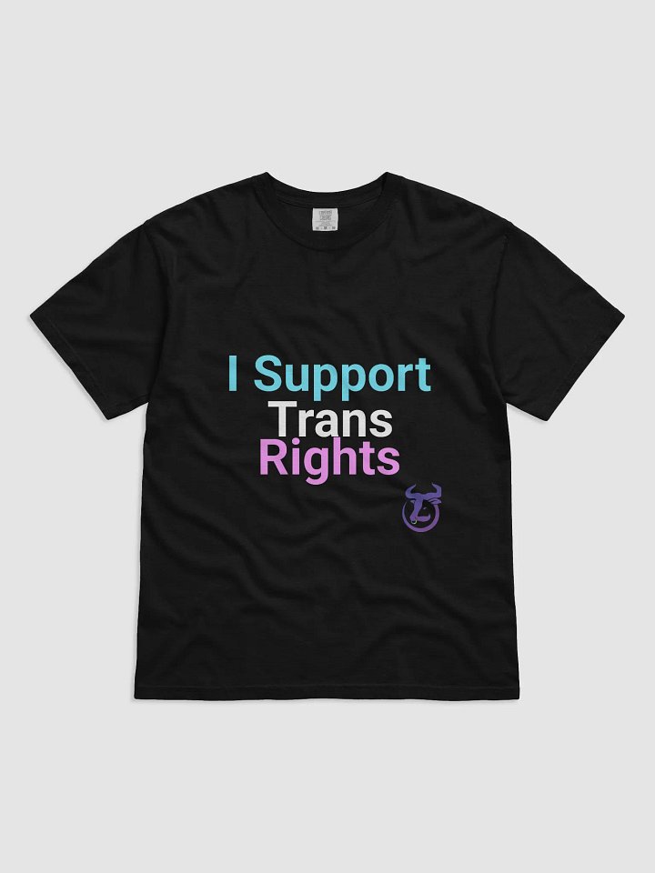 I Support Trans Rights T-Shirt product image (3)