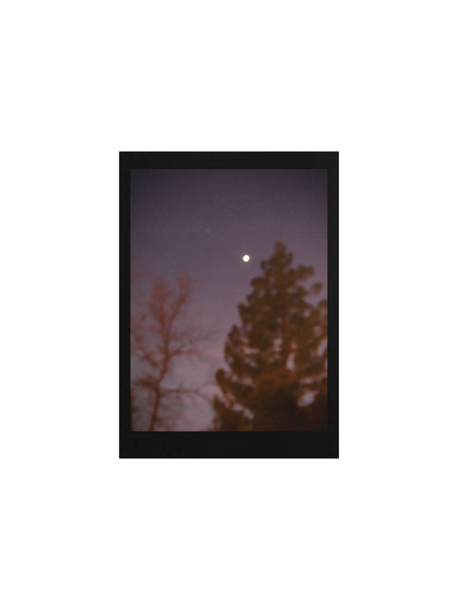 Purple Night product image (1)