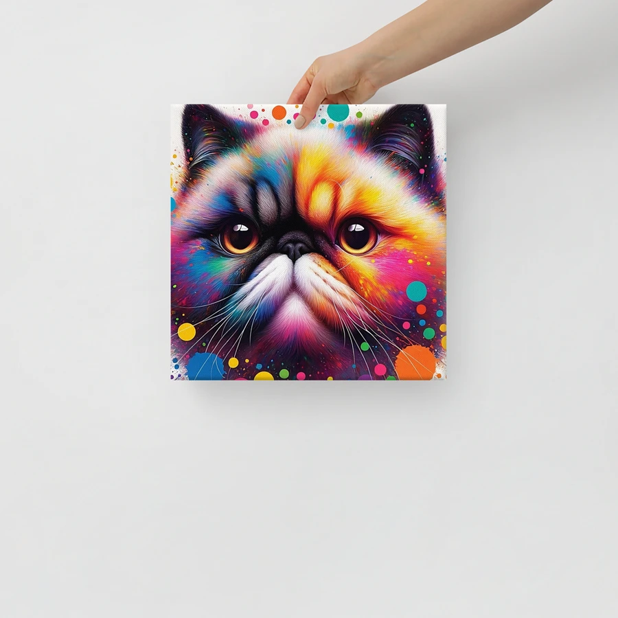 Canvas (in): Exotic Shorthair product image (14)