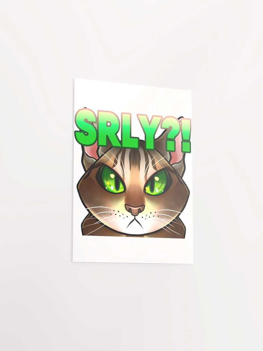 SRLY?! Poster product image (34)