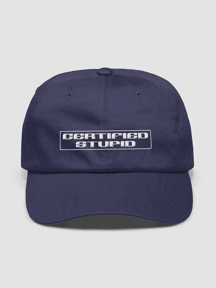 Certified Stupid Hat product image (1)