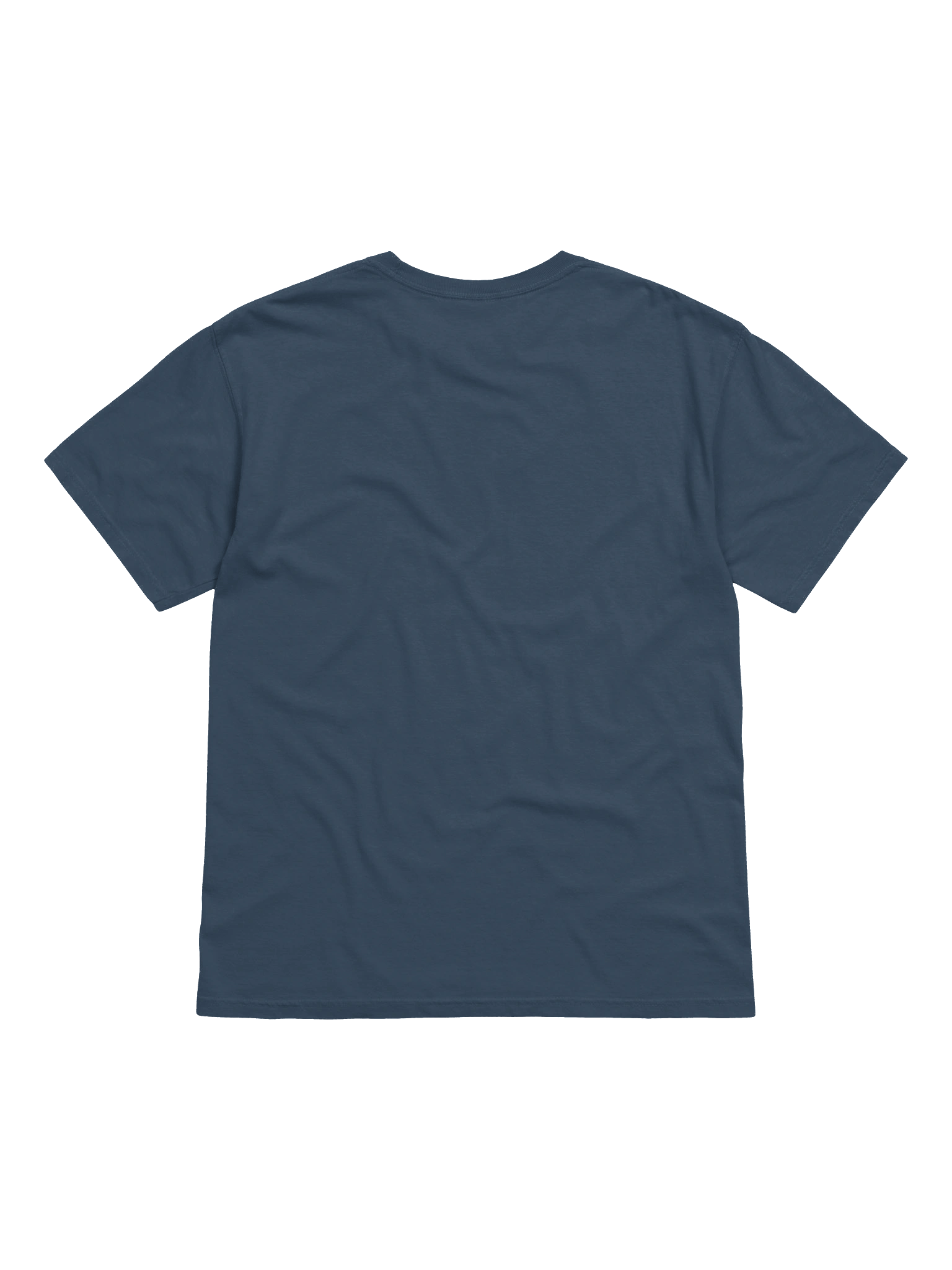 THE Goose Necked Unisex Heavyweight Tee product image (13)