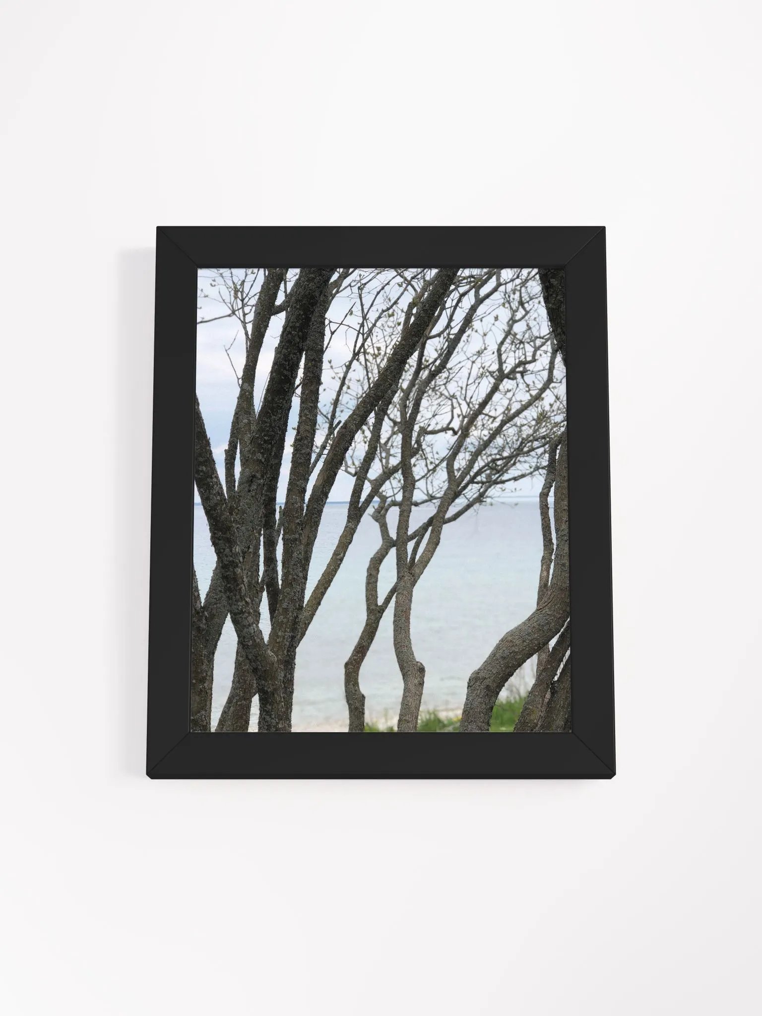 Winding Branches High Quality Matte Poster product image (1)