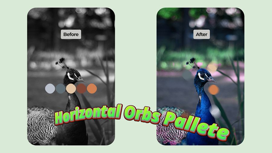 New Before/After Color Palette Templates product image (4)