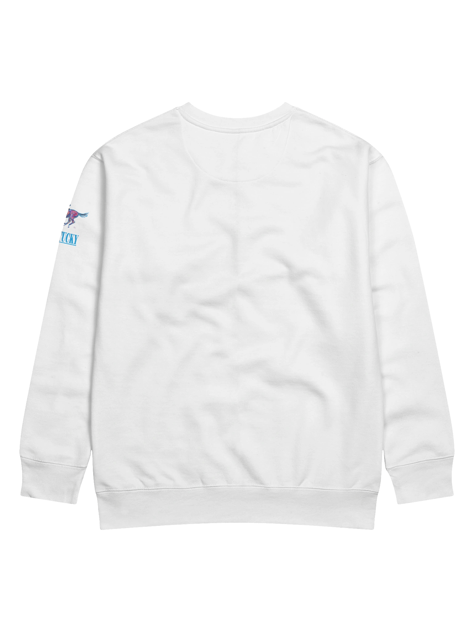 Kentucky Race Meet Sweatshirt product image (4)