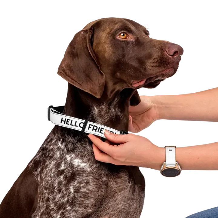 Pet Collar product image (1)