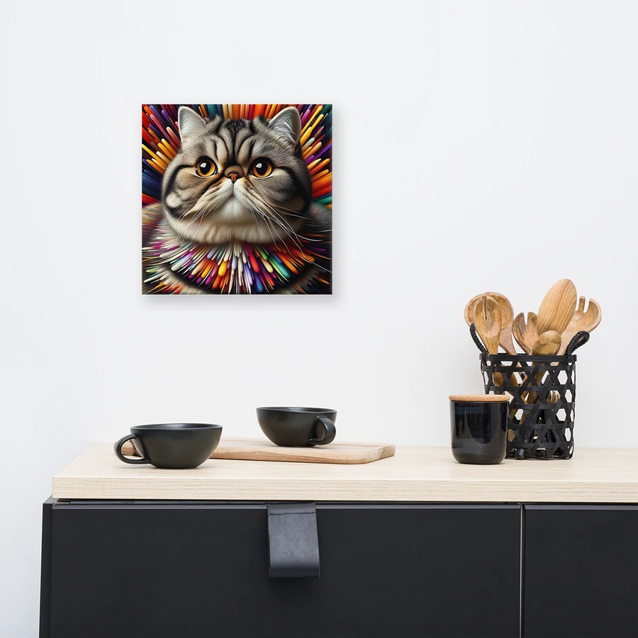 Canvas (in): Exotic Shorthair product image (8)