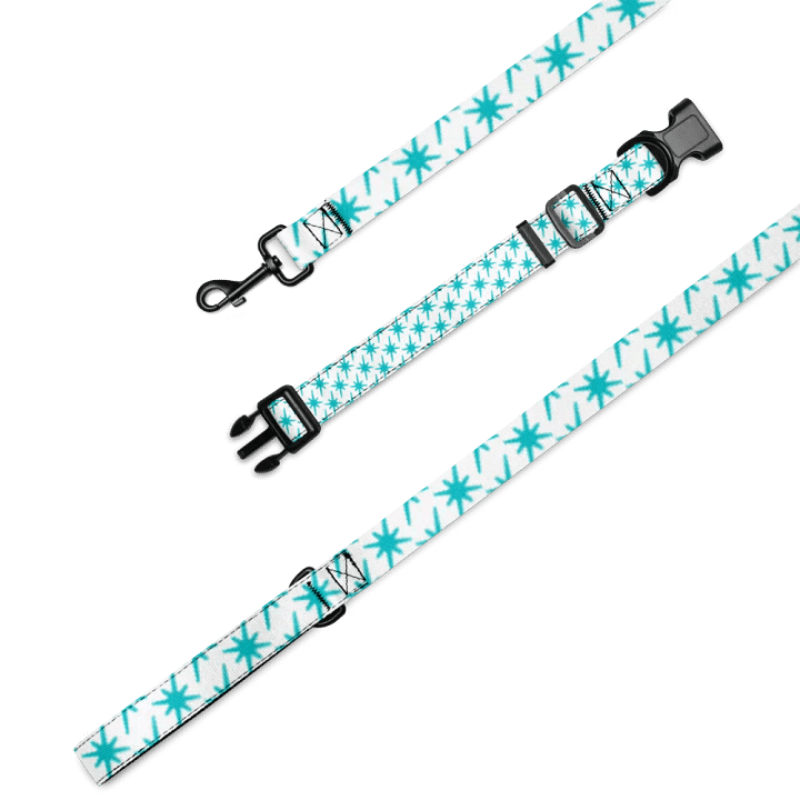 Cyan Starkle Dog Leash & Collar product image (1)
