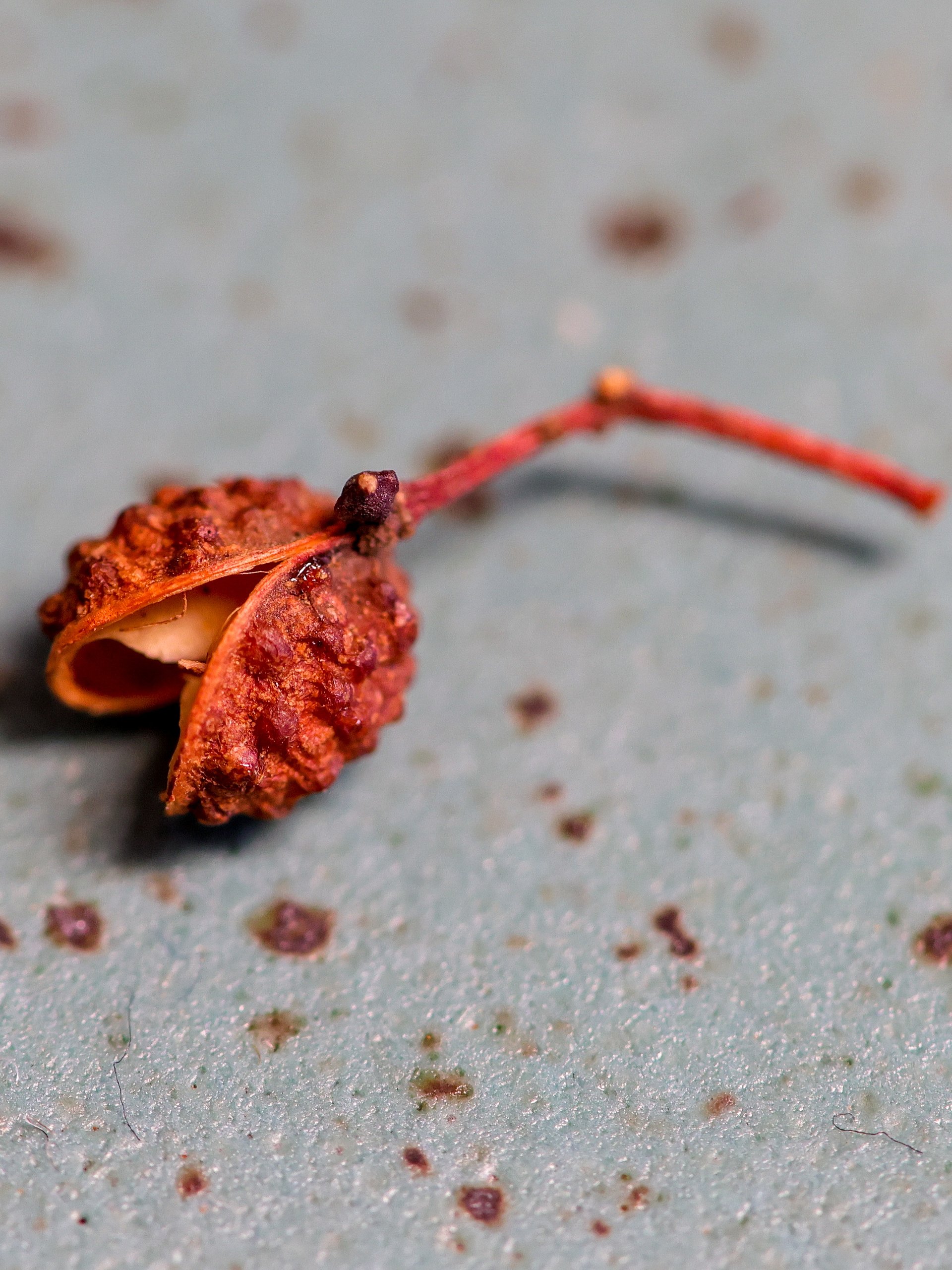 Poivre de Sichuan Rouge 150g product image (1)