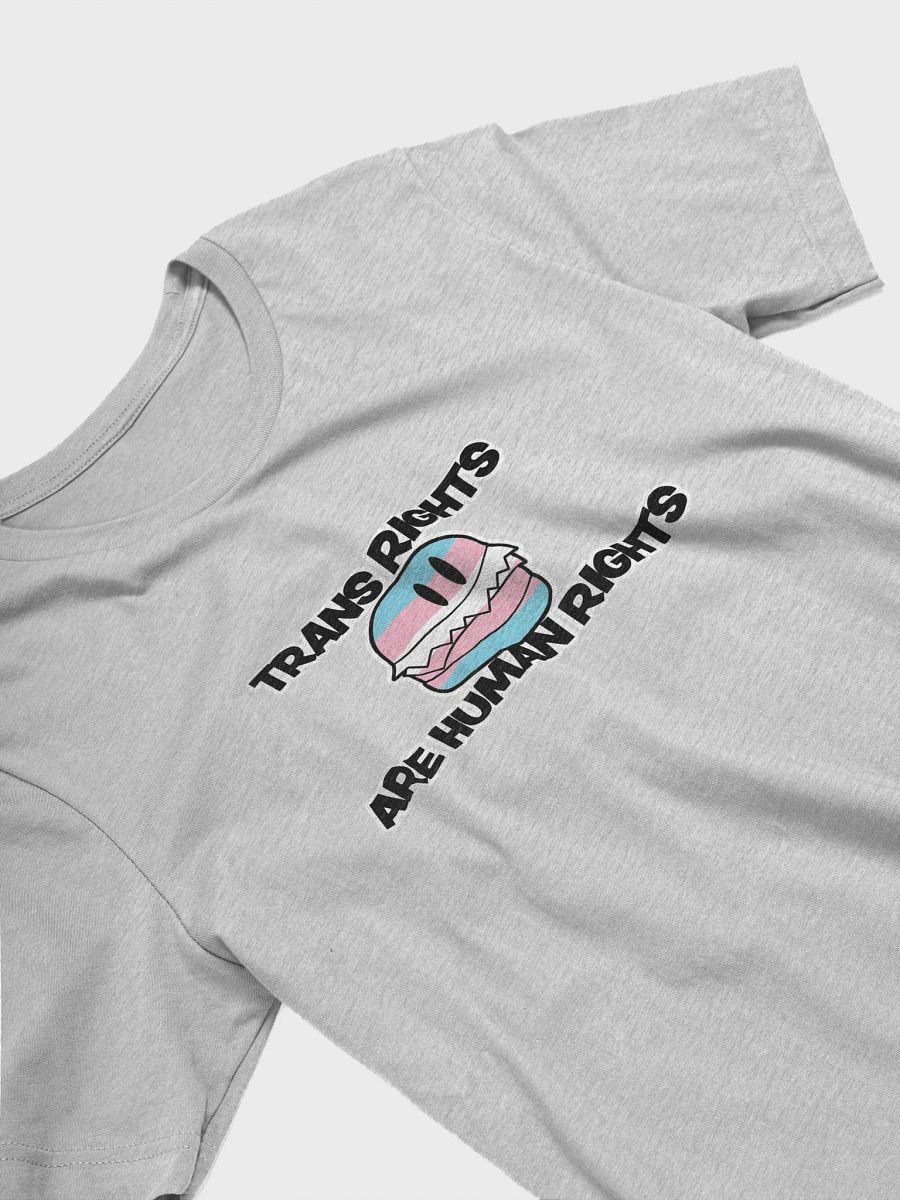 Trans Rights Shirt product image (3)