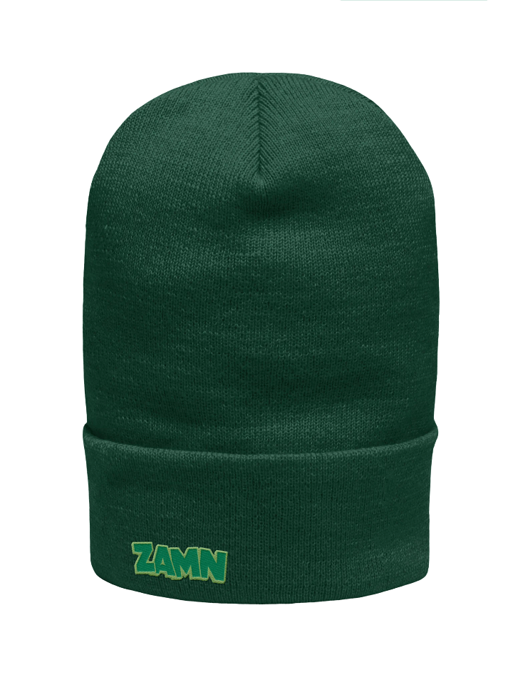 ZAMN Logo Beanie: Green product image (1)
