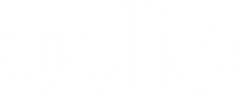 Udio