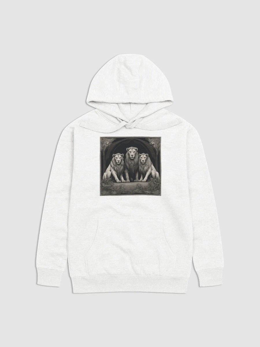 Cotton Heritage Unisex Premium Hoodie product image (1)