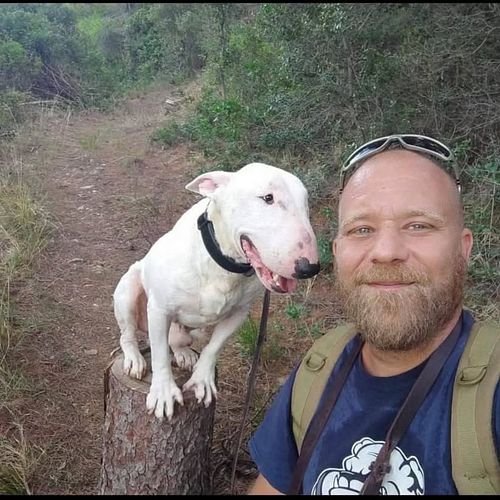 “Your Bull Terrier doesn’t need an alpha.
They need clarity.”

Still trying to act like the alpha?
Chest puffed. Voice raised...