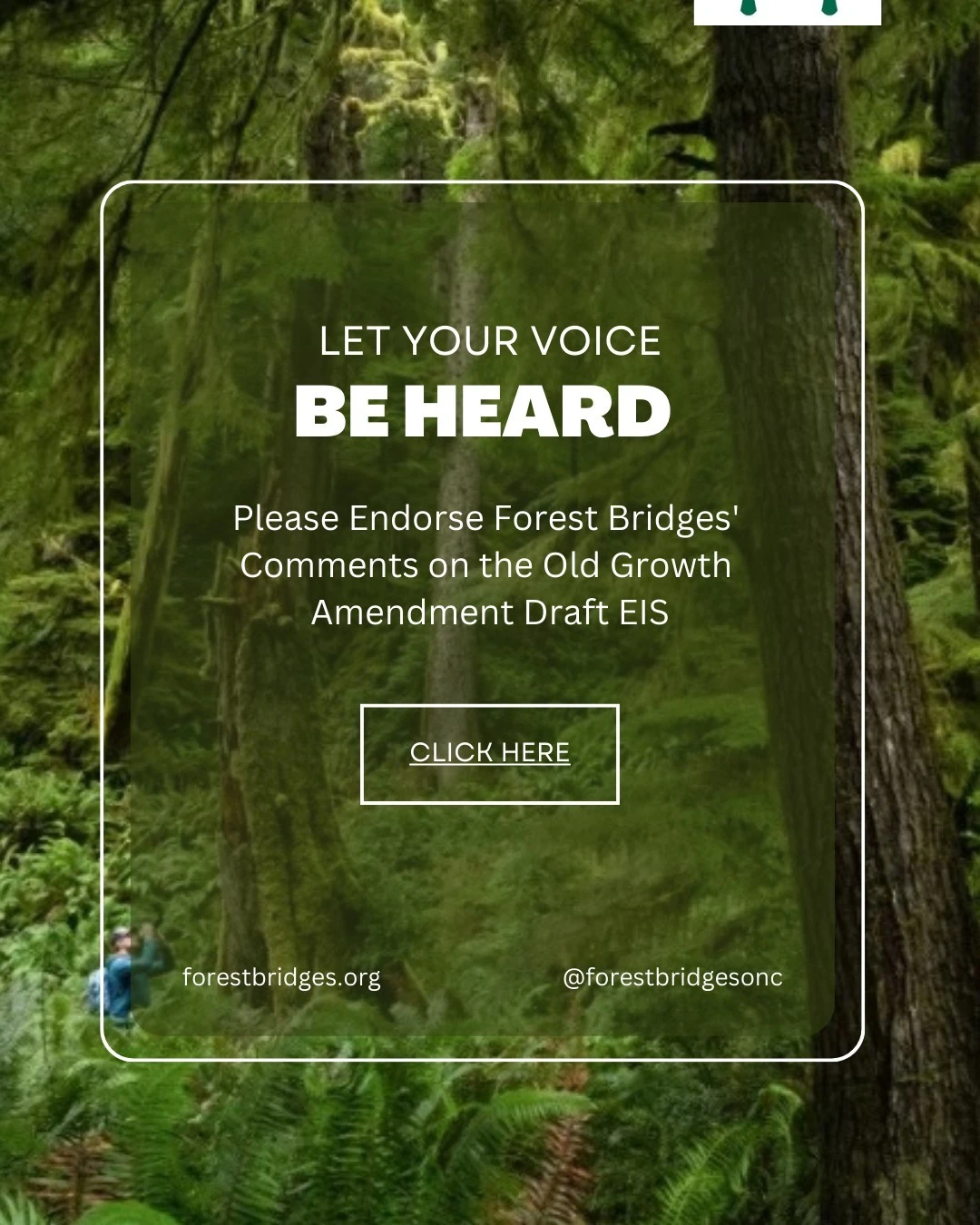 Endorse Forest Bridges' Comments on the Old Growth Amendment:

https://mailchi.mp/forestbridges.org/usfs-old-growth-amendment