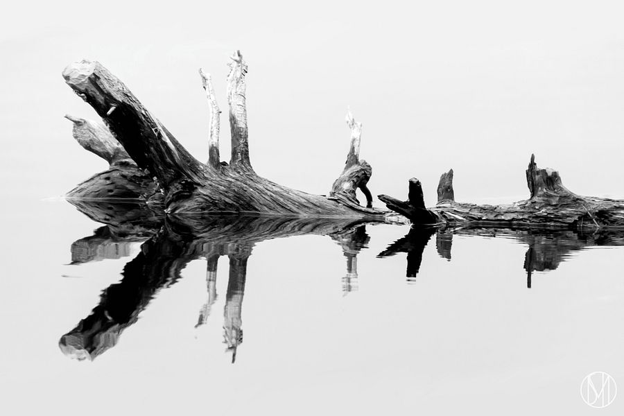 Symmetry Print product image (1)