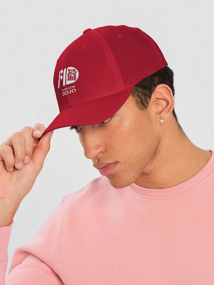 Famicom Dojo Switch Logo Cap product image (2)