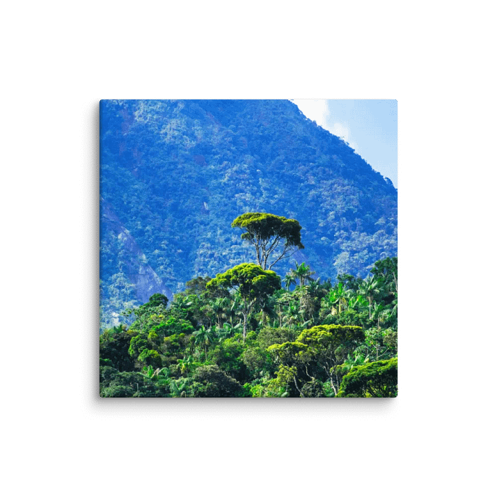Mata Atlântica - blue hour product image (2)
