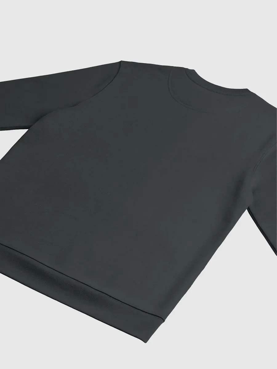 Sweatshirt product image (4)