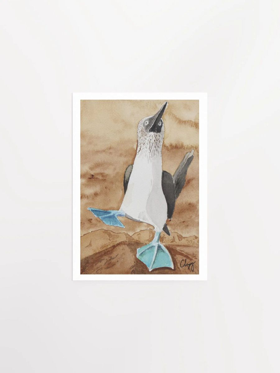 Blue Footed Booby Print product image (1)