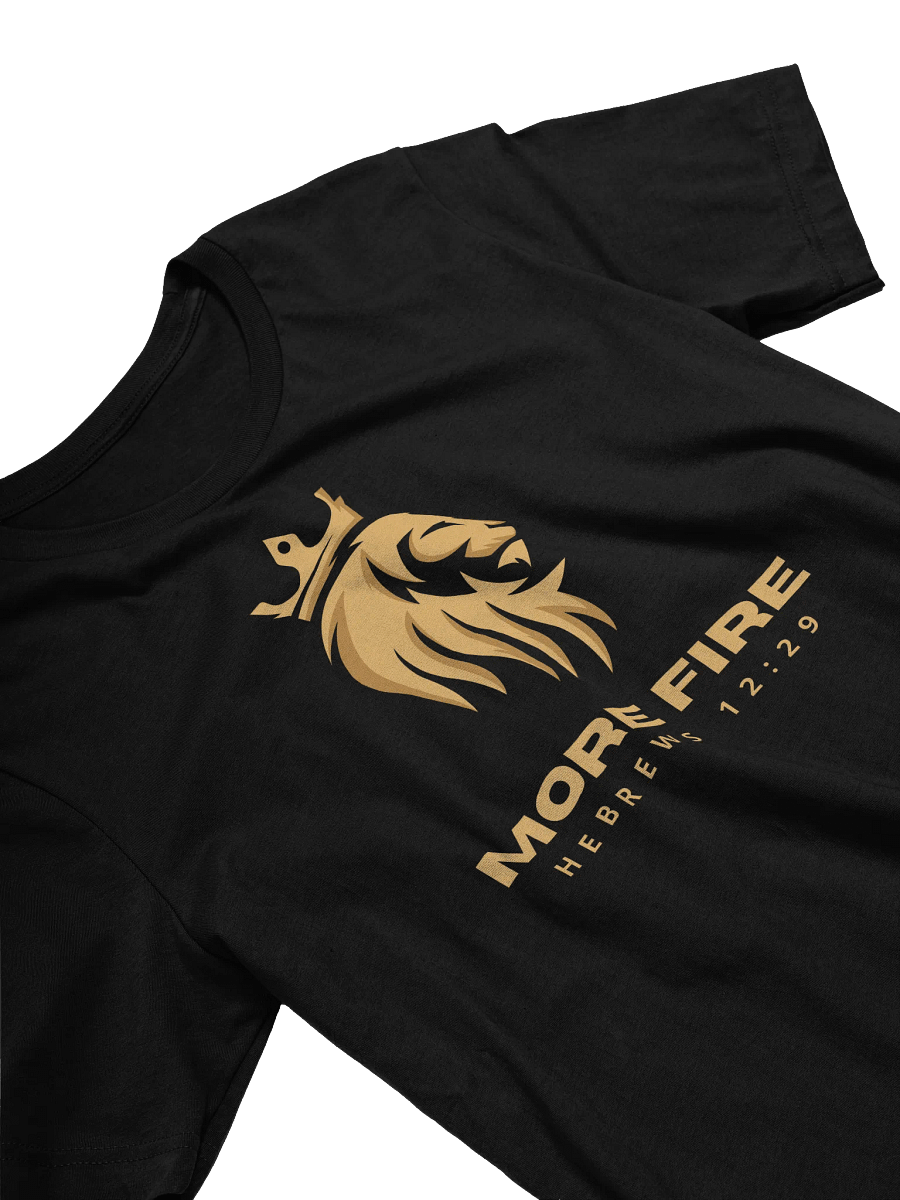 Heb. 12:29 Lion Logo T Shirt product image (16)