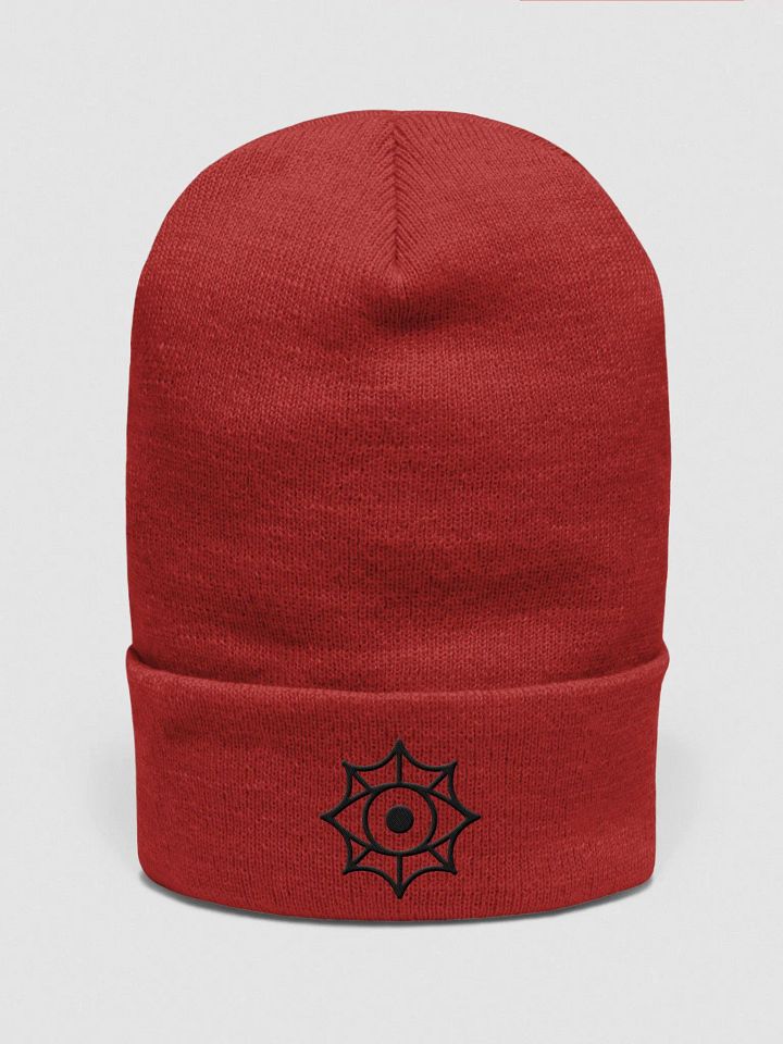 Task Force Beanie Variant product image (1)