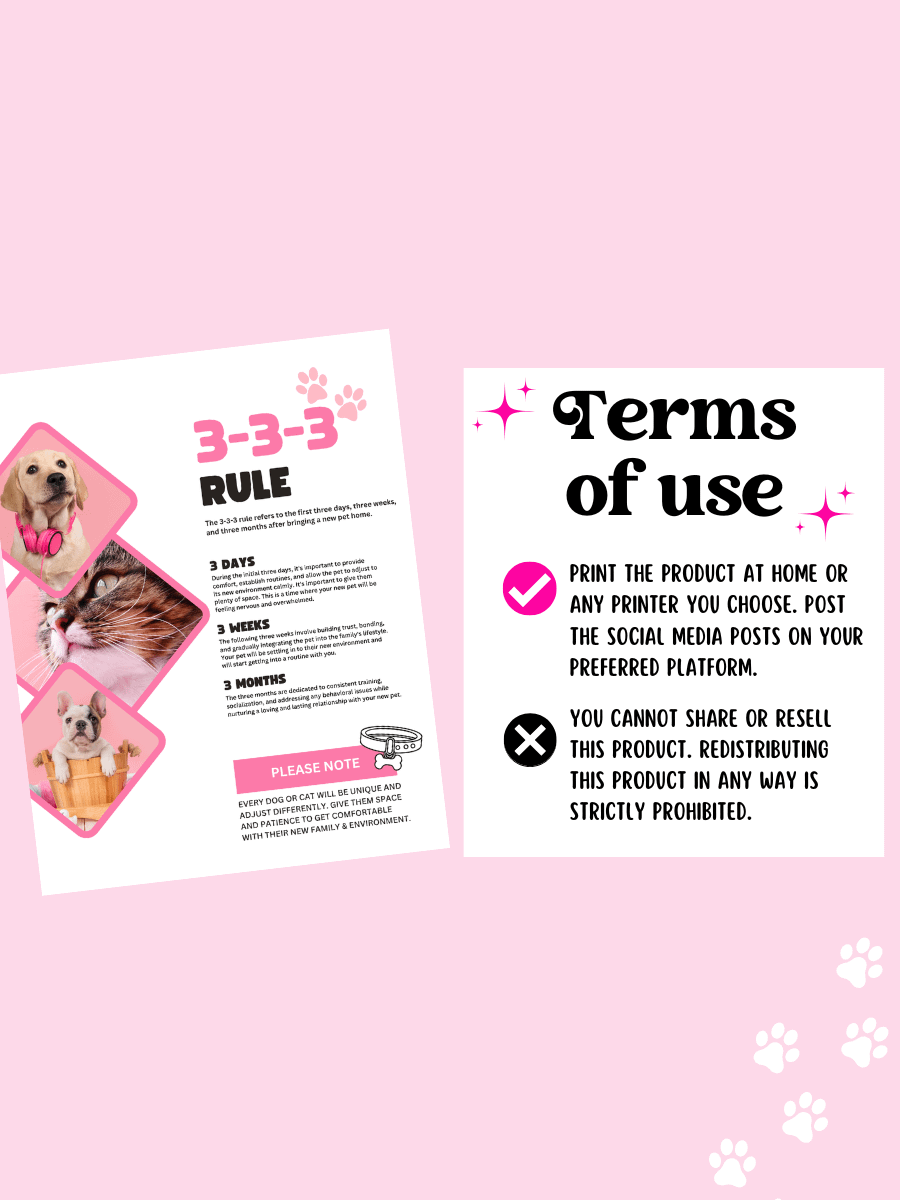 3-3-3 Rule Flyer & Posts product image (8)