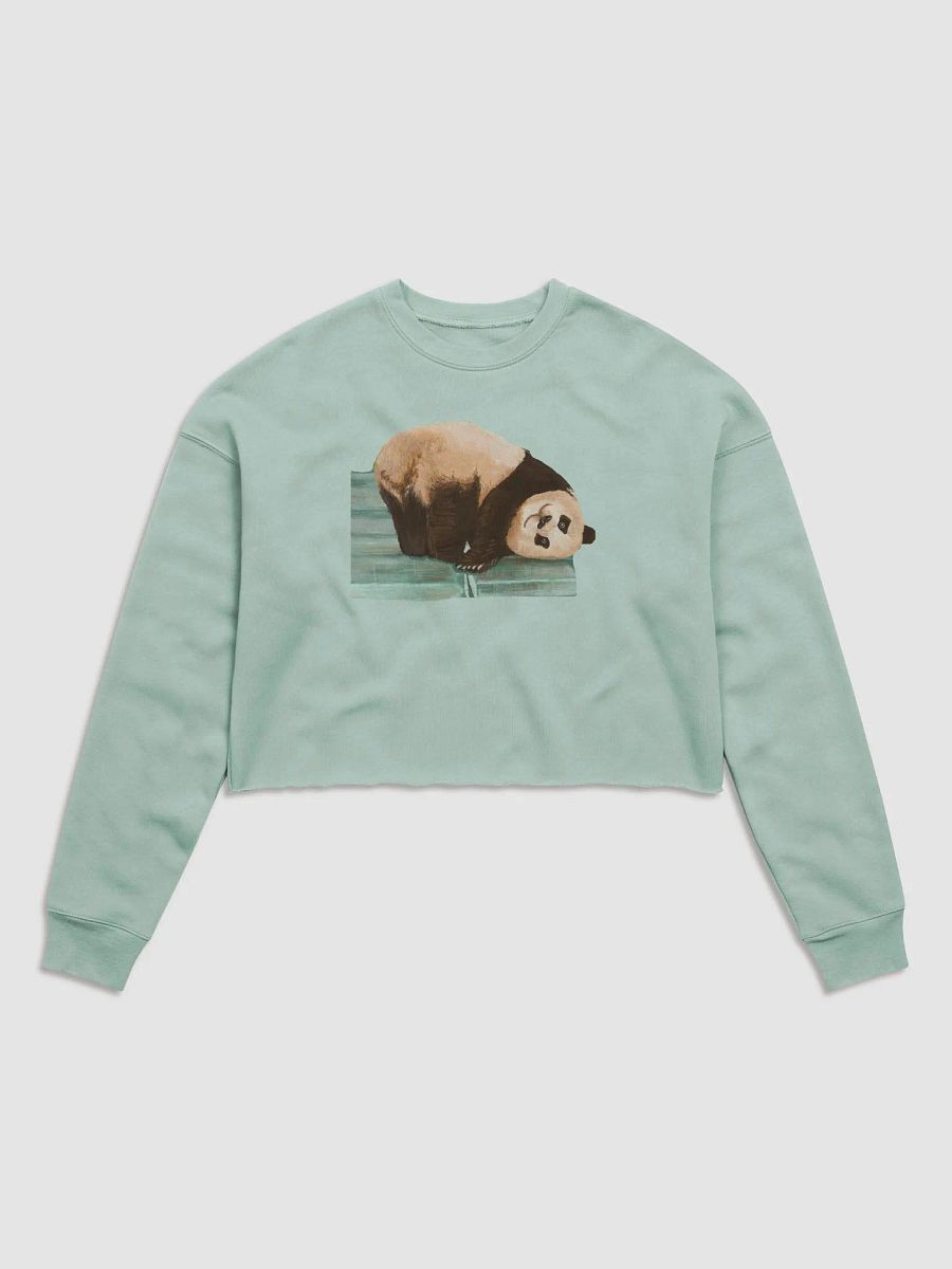 fubao Panda product image (1)