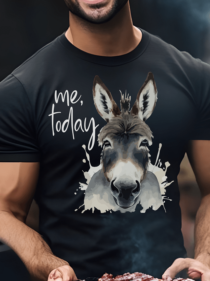 Me, today - Donkey product image (2)