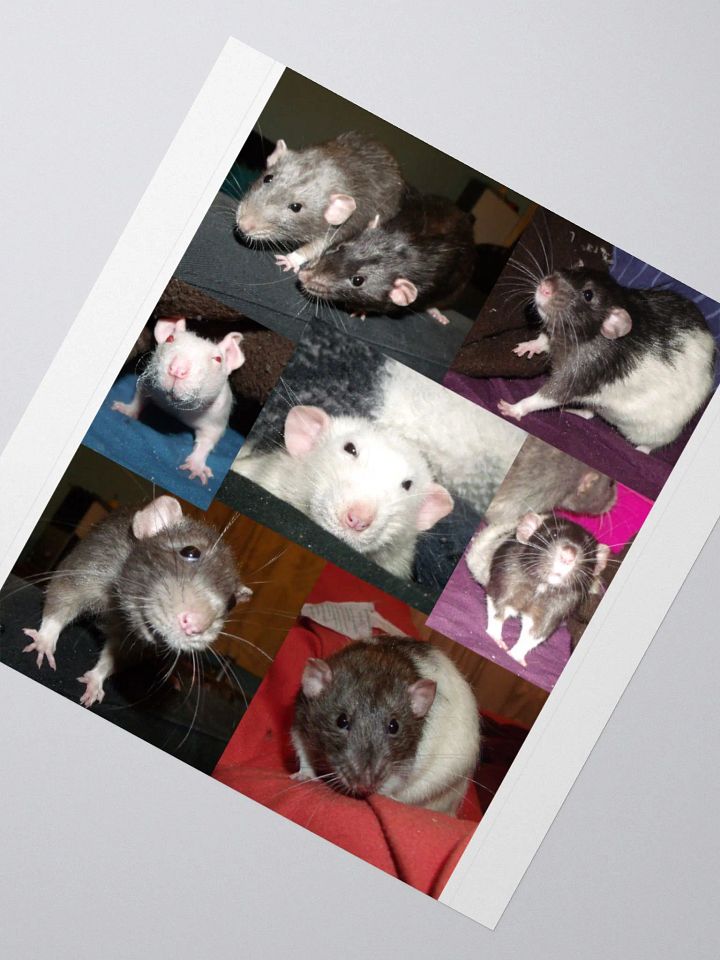 Rescued Dumbo Rats sticker product image (2)