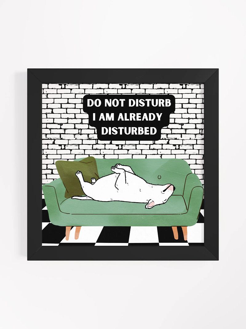 Bull Terrier Already Disturbed