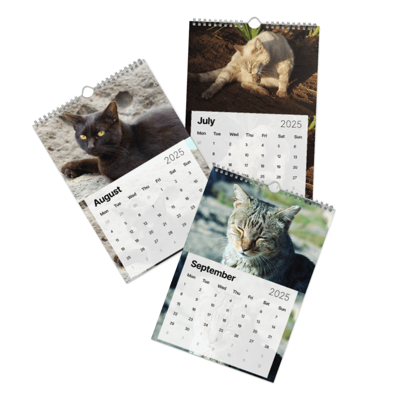 Calendar 2025 - Cats *meow* product image (4)