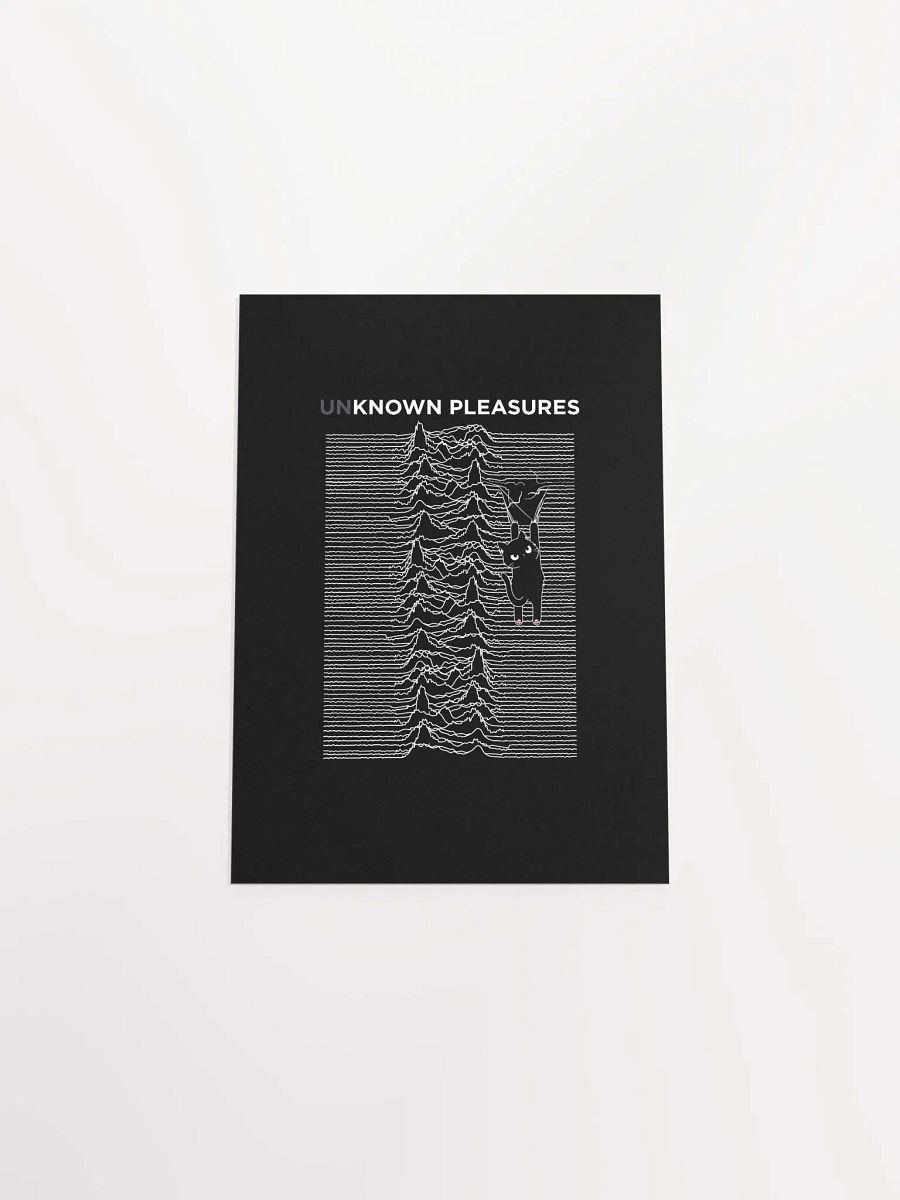 KITTEN'S UNKNOWN PLEASURES product image (47)
