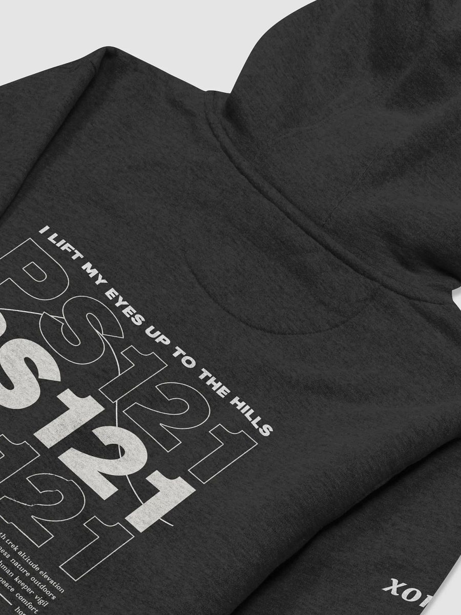 PS121 Hoodie Black (back) product image (3)