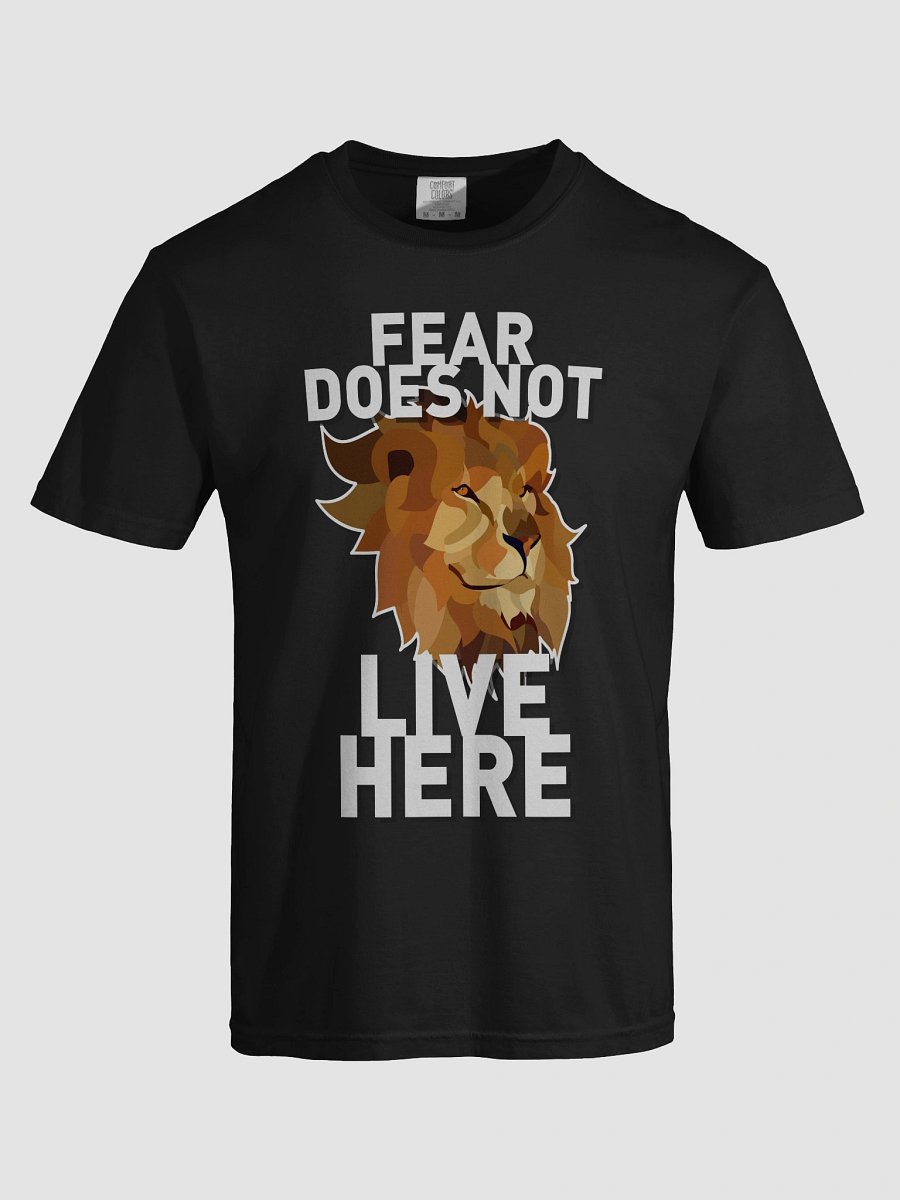 FEAR DOES NOT LIVE HERE product image (66)