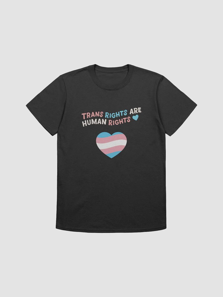 Trans Rights Tshirt product image (1)