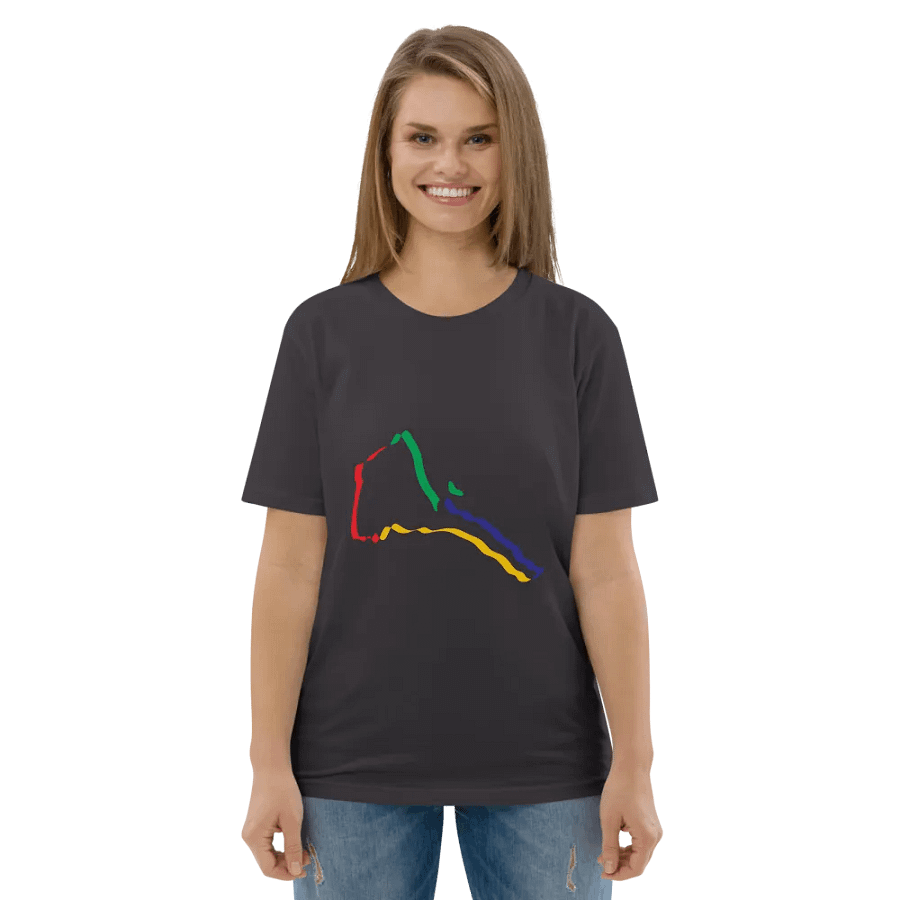 Chromatic Lines Organic Cotton T-Shirt product image (139)