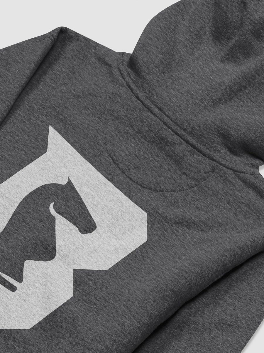 Iepe Rubingh Memorial Hoodie product image (7)