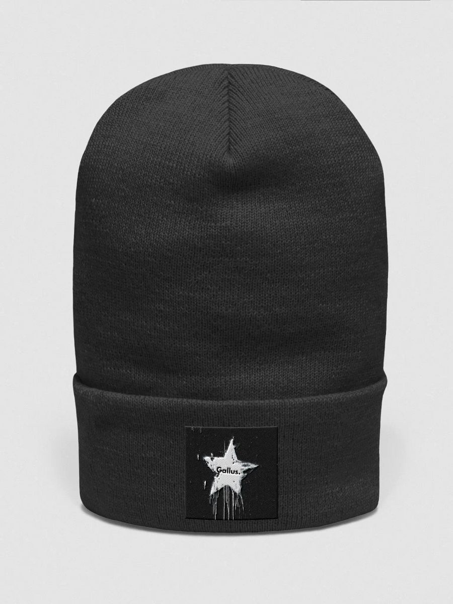 Gallus Beanies product image (1)