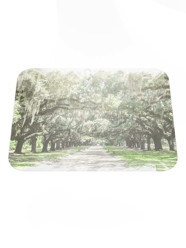 Avenue of the Oaks, Boone Hall Mousepad product image (2)