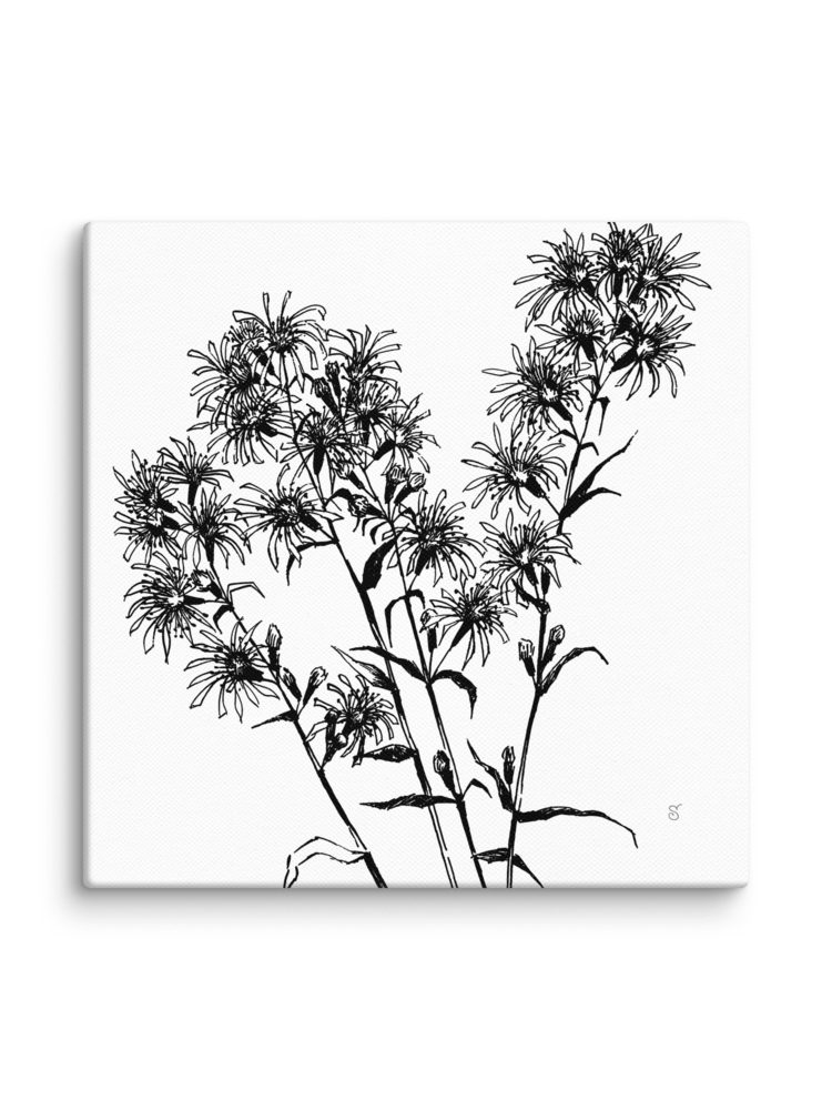 Spiky Botanical Beauty Canvas - Bouquet Flowers product image (98)