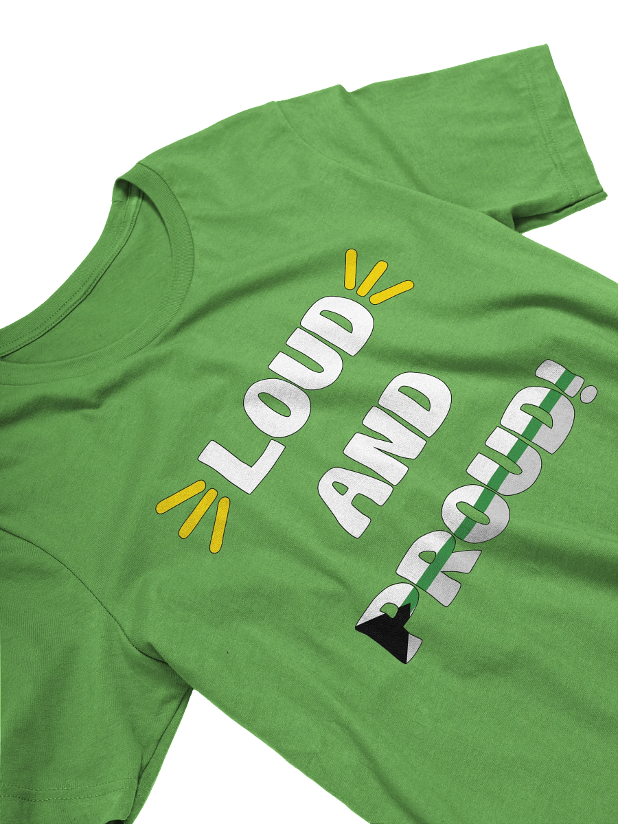 Loud and Proud Demiromantic T-Shirt product image (21)