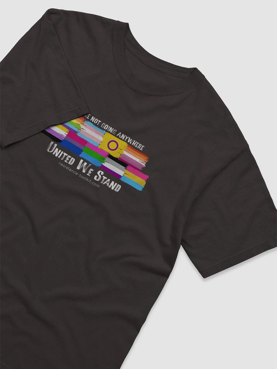 United We Stand product image (2)