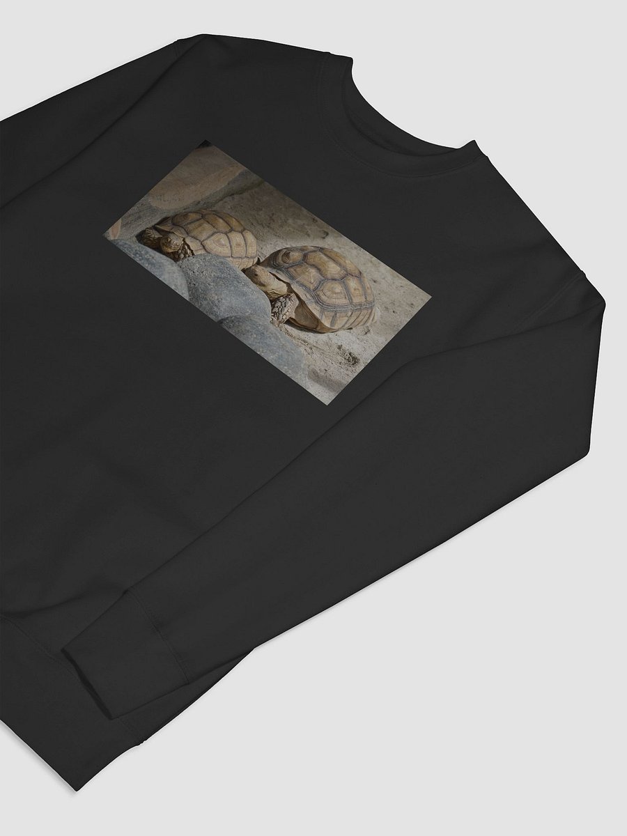 Hexagonal Tortoise Oasis Sweatshirt product image (7)