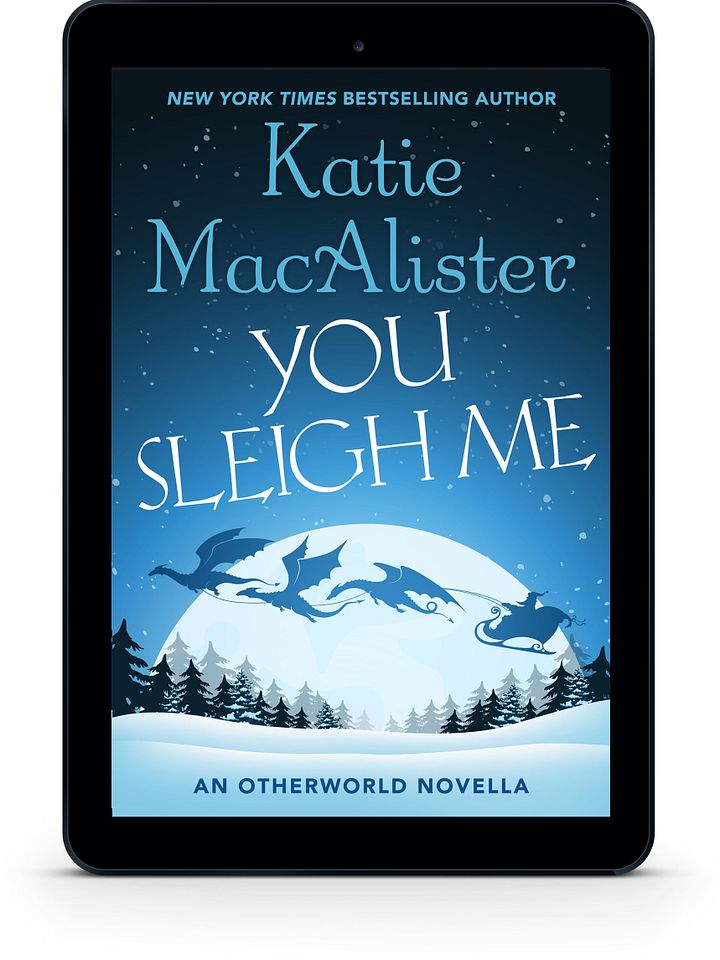 You Sleigh Me [Book 4 in the Dragon Hunter Series] product image (1)