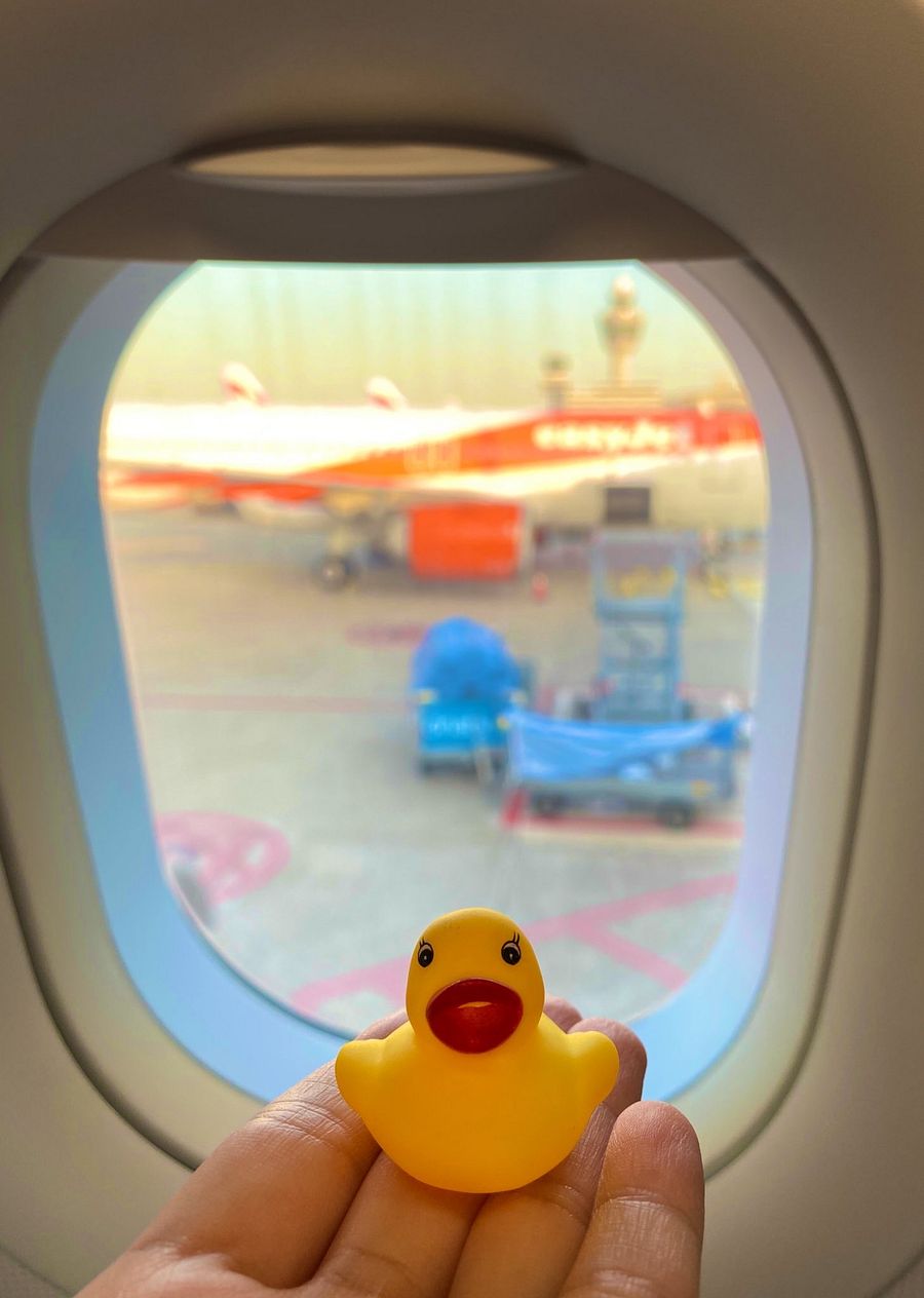 [EXCLUSIVE] Chipstarr Duck product image (2)