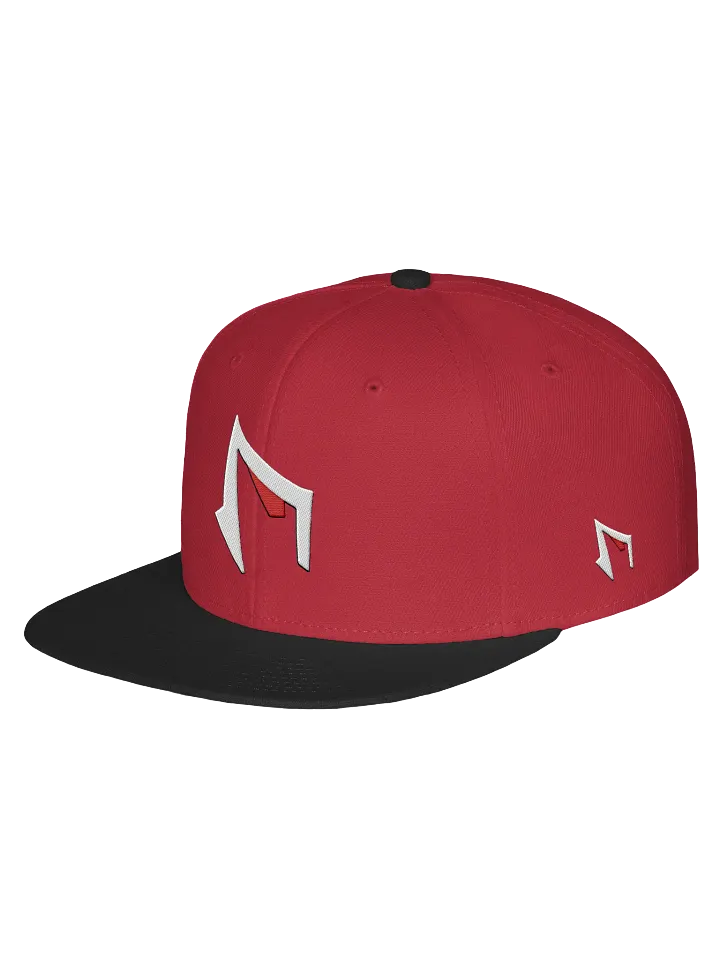 FAME PRODUCTIONS Multi LOGO FLAT BRIM HAT SNAP BACK product image (2)