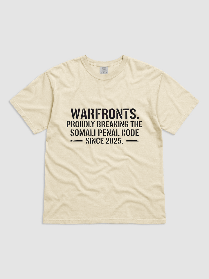 Breaking the Somali Penal Code product image (1)